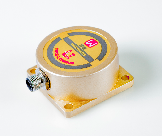 Electronic Compass